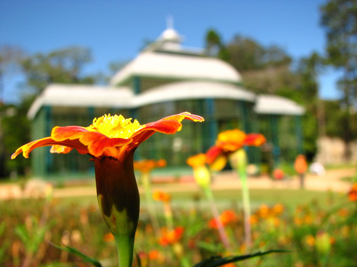 Shop Featured Product