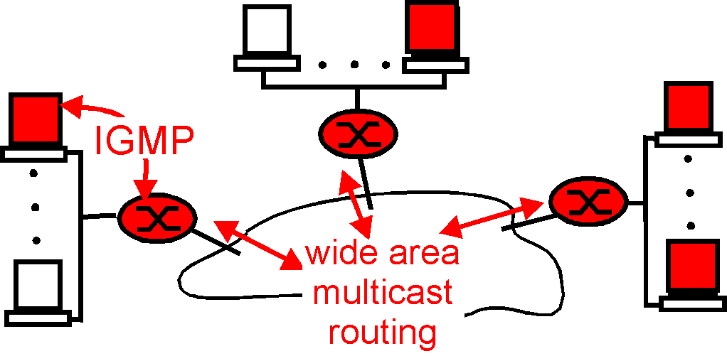 IGMP versus wide area multicast routing protocols